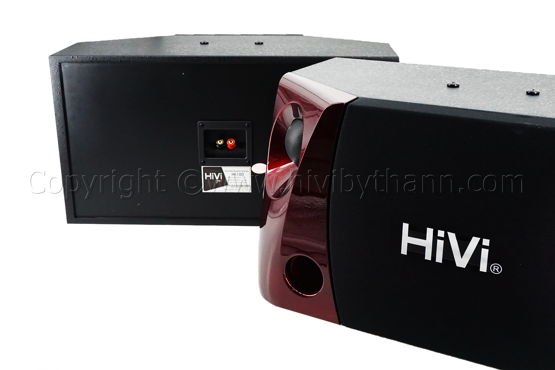 HiVi_HK100_Product_6