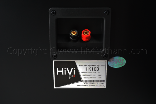 HiVi_HK100_Product_7